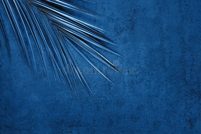 Closeup of Metallic Palm Leaf on Dark Blue Background Stock Photo