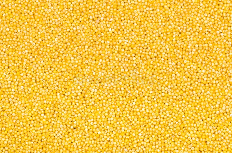 Closeup millet texture