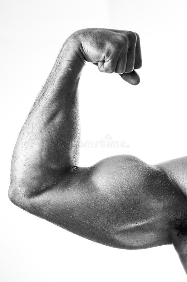 Closeup of Muscular Fitness Model Showing Biceps Stock Image - Image of ...