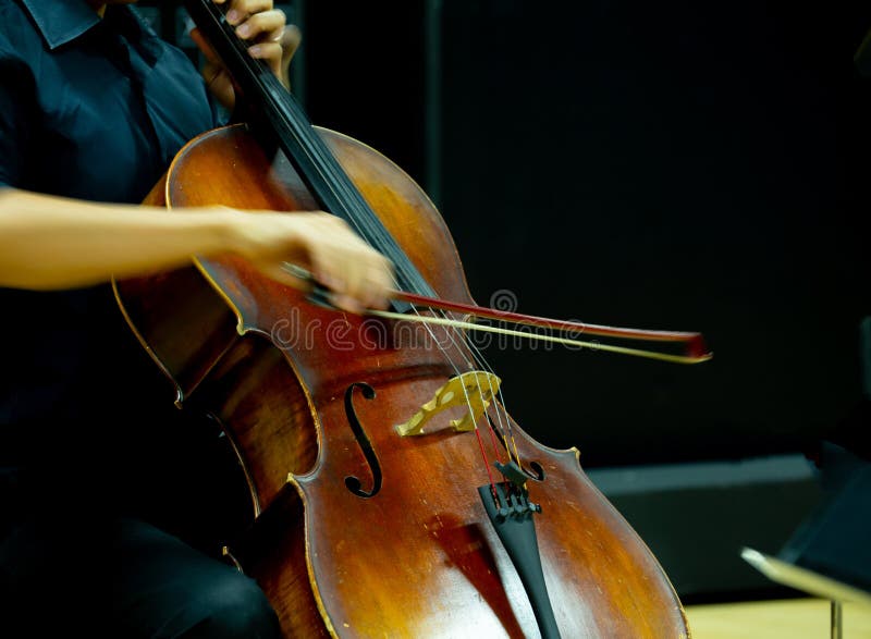 Closeup musicians are playing violins in classical music concerts. Closeup musicians are playing violins in classical music concerts