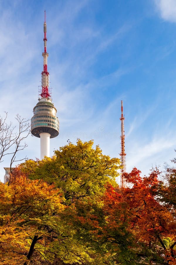 Closeup on Namsam Tower emerging from autumn colored forest. Seoul, South Korea.Vertical view stock photos Closeup on Namsam Tower emerging from autumn colored forest. Seoul, South Korea.Vertical view stock photos