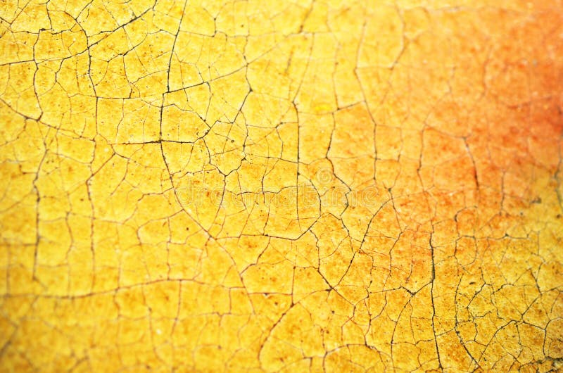 Closeup old cracked Oil on canvas texture. Soft focus vector illustration