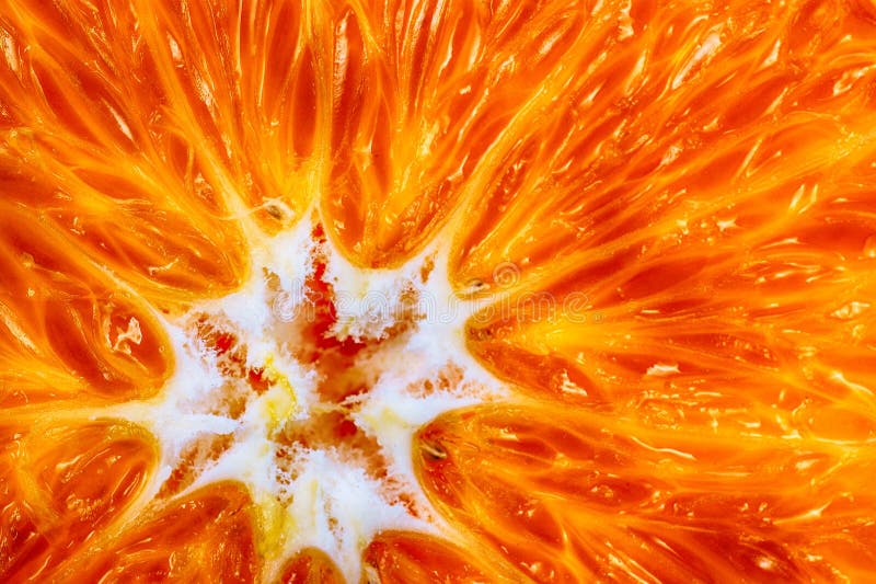 Closeup orange fruit slice food background texture. Healthy nutrition.
