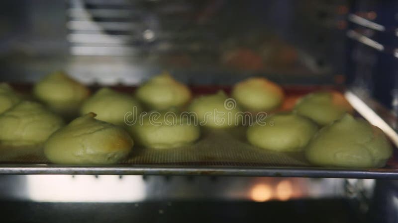 Closeup panorama of small custard cookies choux baking on metal pallet in oven