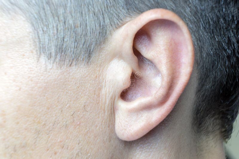 Closeup photo of a perfect human ear. stock image Closeup photo of a perfect human ear. stock image