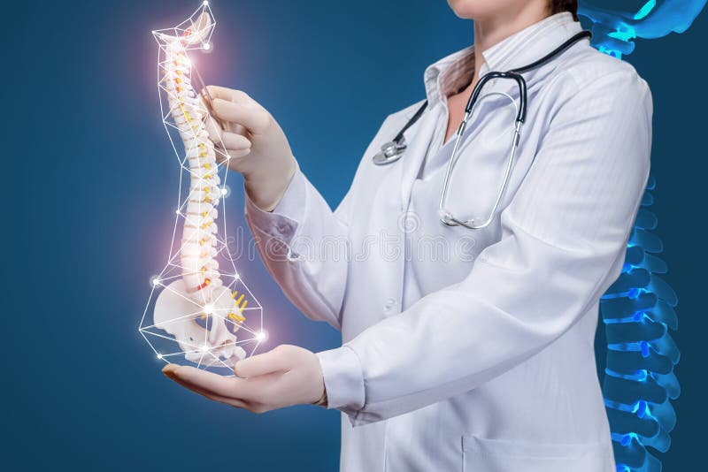 A doctor holding an artificial spine model