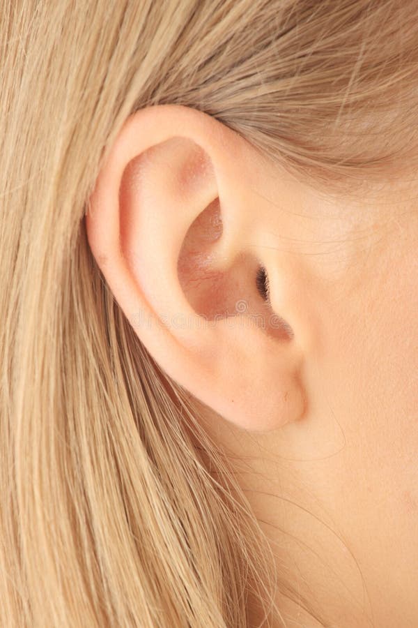 Closeup Picture Of Blond Girl Ear Stock Image Image 9798333