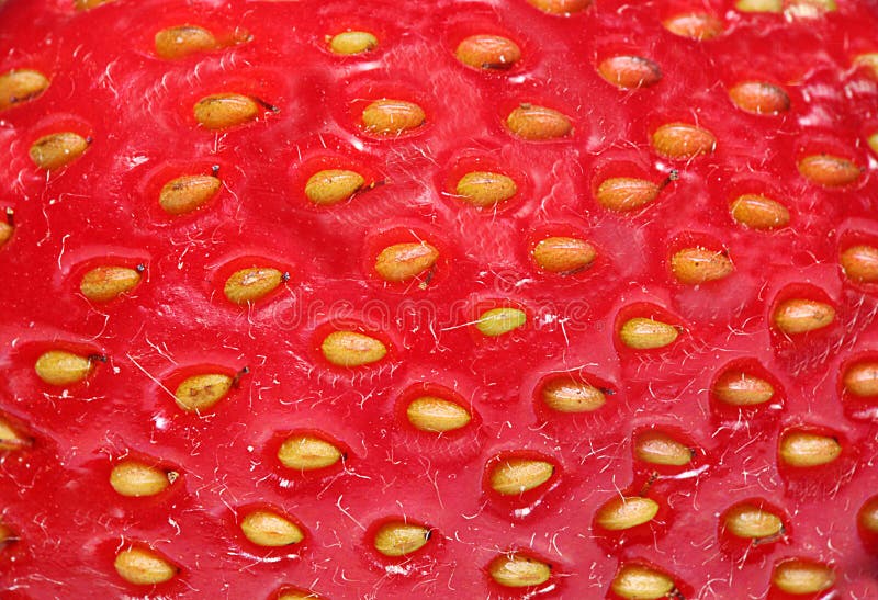 Closeup picture of strawberry background