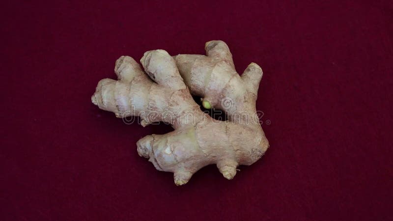 Closeup of piece of ginger on a red rotating table stock video