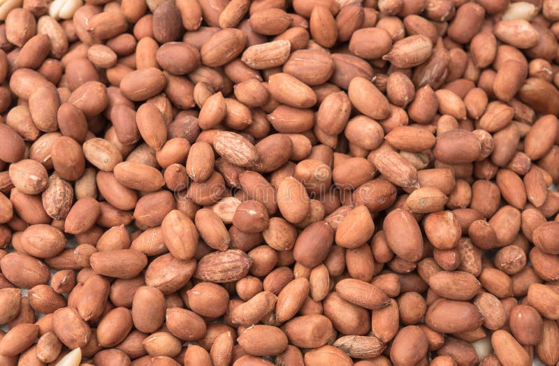 Pile of Peanut Bean stock image. Image of image, healthy 16597229