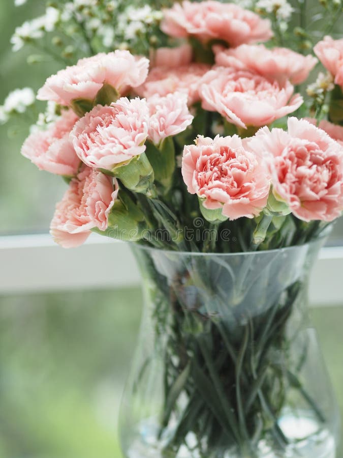 Red and Green Carnation Flower in Water Glass on the Table Stock Image Image of dianthus