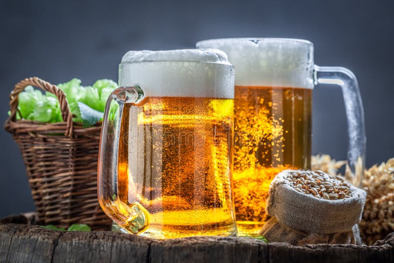 Closeup of Pint of Beer with Foam, Wheat and Hops Stock Image Image