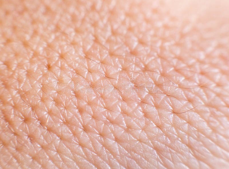 Closeup of porous oily human skin. Large pores on the skin, background, macro, cosmetology royalty free stock images Closeup of porous oily human skin. Large pores on the skin, background, macro, cosmetology royalty free stock images