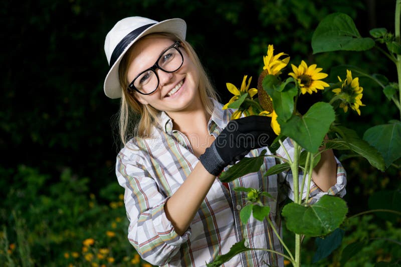 Closeup portrait of smiling woman gardener in gloves with sunflower stock photography Closeup portrait of smiling woman gardener in gloves with sunflower stock photography
