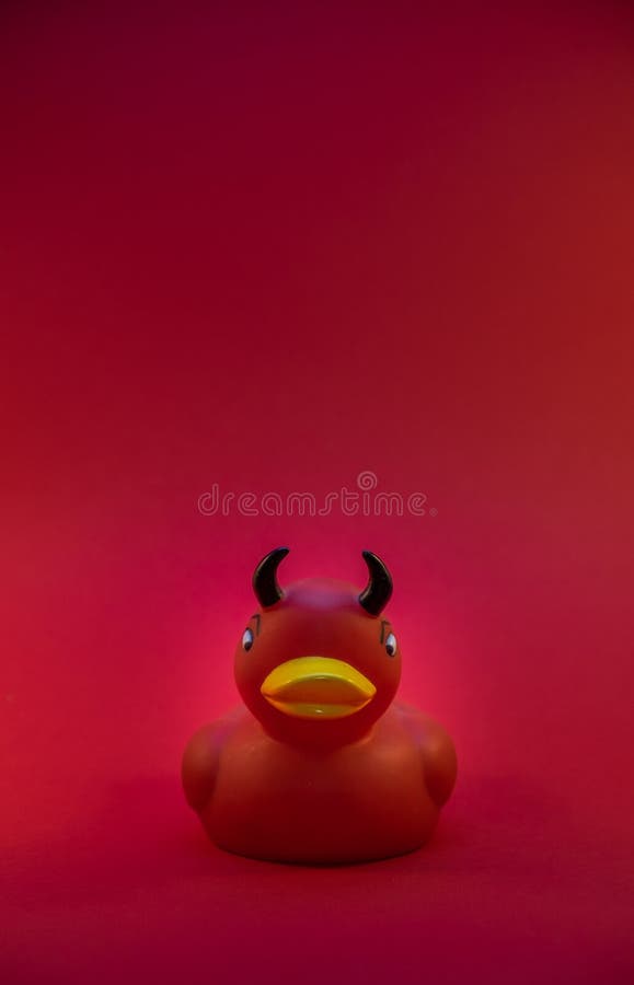 20+ Devil Duck Stock Photos, Pictures & Royalty-Free Images - iStock