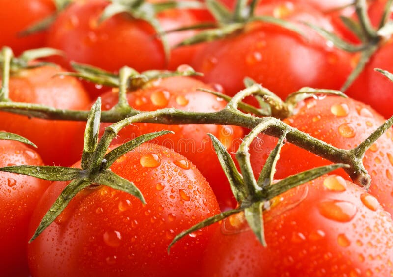 Closeup ripe cherry tomato s