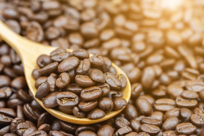 Closeup roasted brown coffee beans on wooden spoon with sunlight background for food and drink design stock photos Closeup roasted brown coffee beans on wooden spoon with sunlight background for food and drink design stock photos