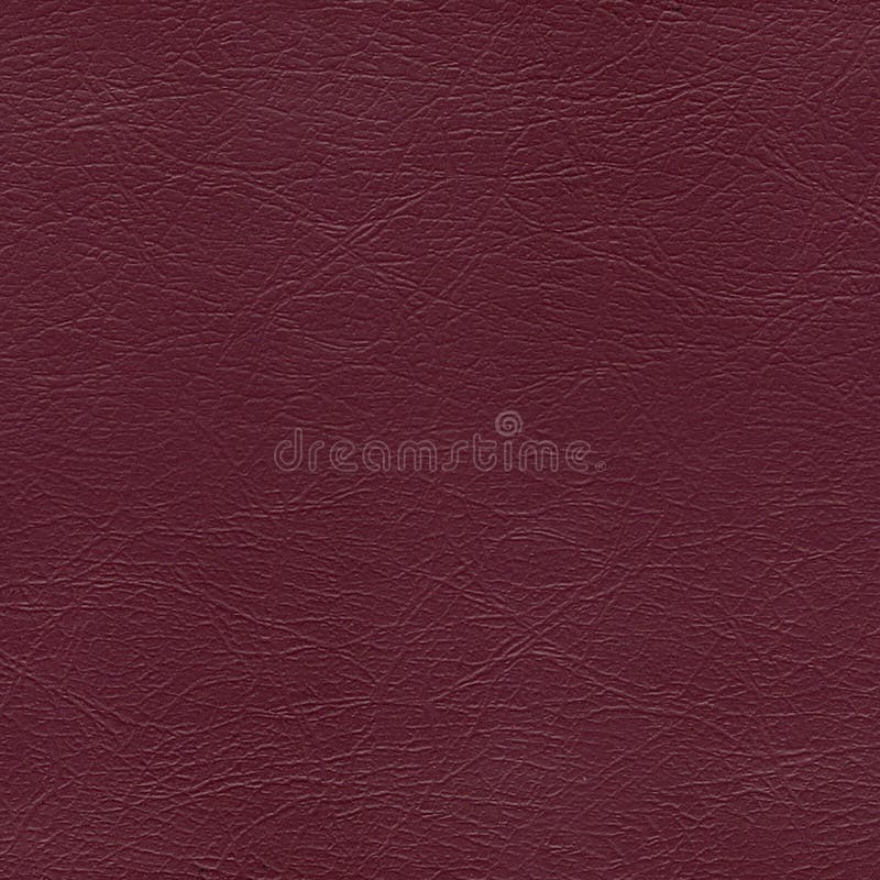 Closeup of Rows of Colorful Luxurious and Expensive Leather Textures