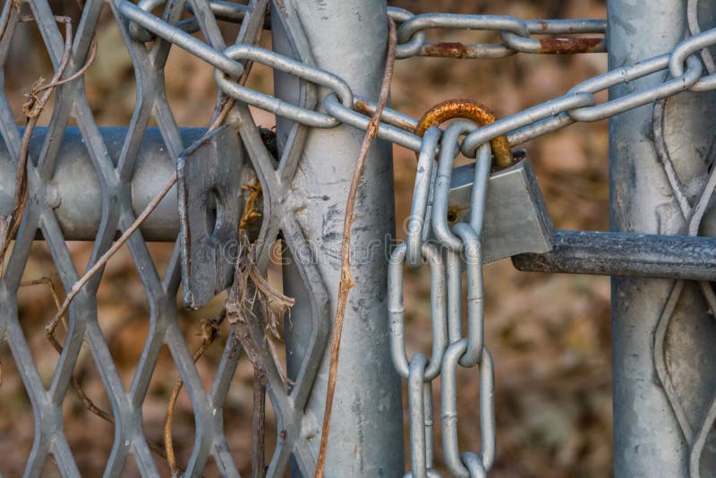 Padlock On A Chain Link Fence Gate Stock Image Image of lock, area