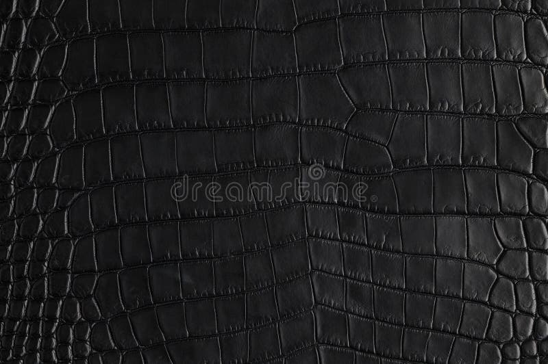 289 Pink Crocodile Leather Skin Background Stock Photos - Free &  Royalty-Free Stock Photos from Dreamstime