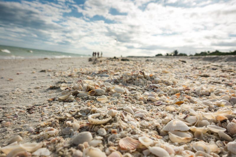 Closeup of shell beach with thousands of shells for collecting at Sanibel Island, Florida. Sunny day with clouds, blurred people visible in background