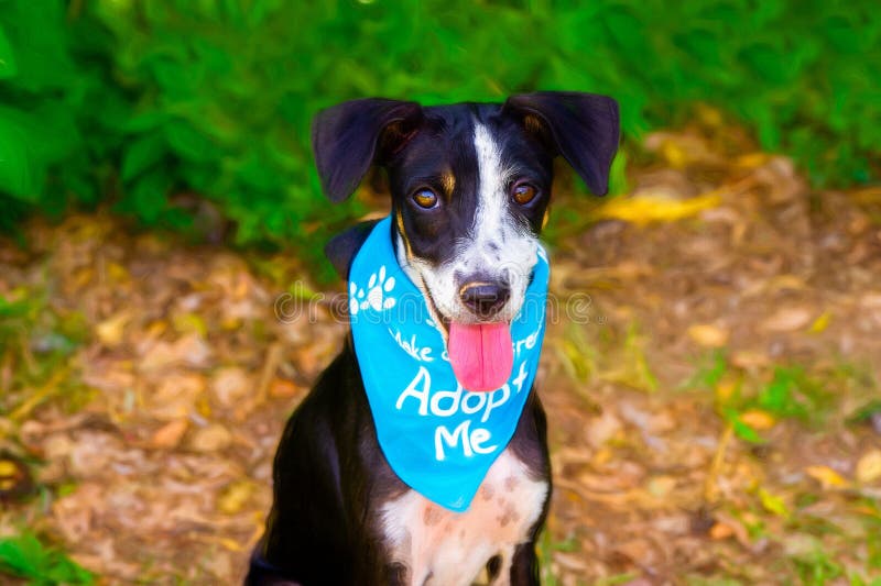 Closeup shot of an adorable dog with a blue &x22;Adopt Me&x22; bandana