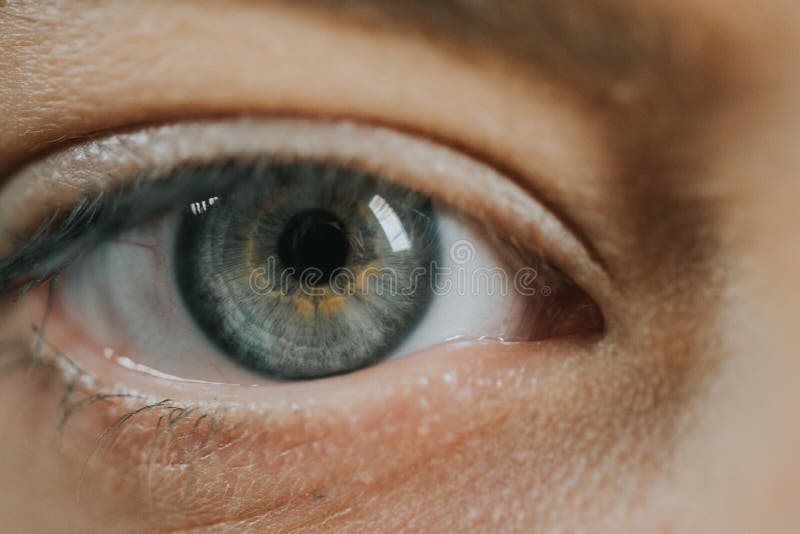 Specks Eye Stock Photos Free & RoyaltyFree Stock Photos from Dreamstime