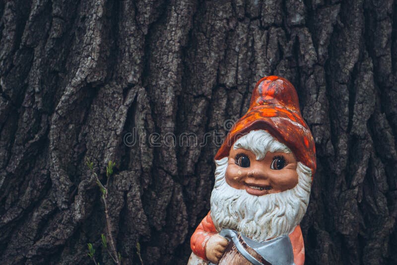 Closeup shot of a cute little garden gnome in front on a tree royalty free stock photo