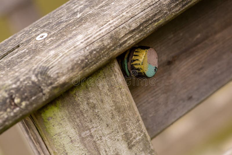 Closeup shot of Geocaching stock photo