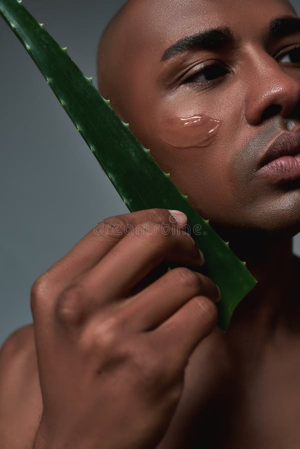 Closeup shot of handsome young african american man looking aside, holding fresh leaf of Aloe Vera while posing with gel