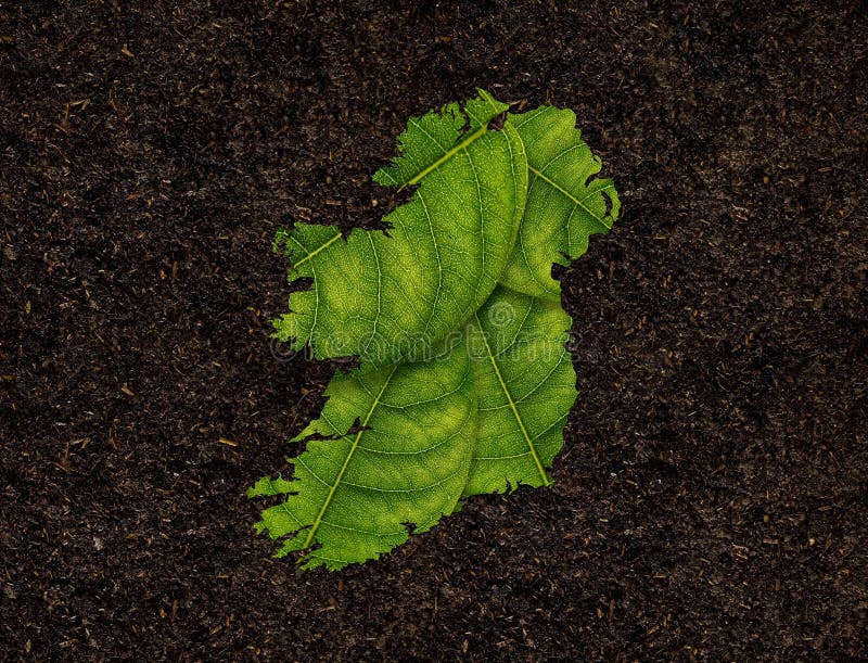 A closeup shot of the Ireland map made of green leaves on the soil background