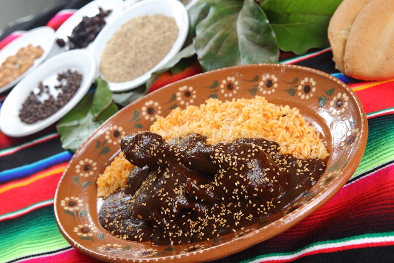 Closeup Shot of Mexican Chicken Mole Dish on Background of the