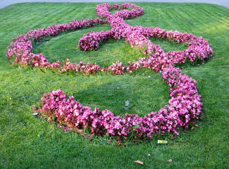 Closeup Shot of a Musical Note Made of Purple Flowers Stock Photo