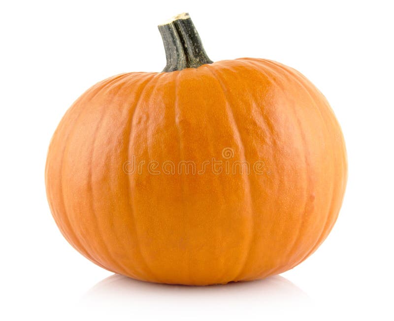 Closeup Shot of Orange Pumpkin Isolated on White Stock Photo Image of