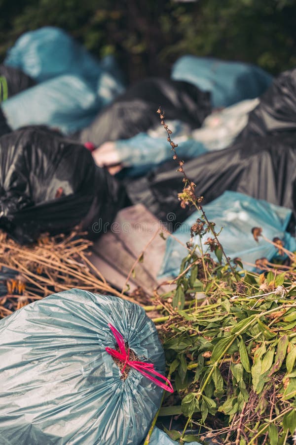 https://thumbs.dreamstime.com/b/closeup-shot-pile-trash-bags-organic-waste-pollution-concept-closeup-shot-pile-trash-bags-pollution-concept-203279682.jpg