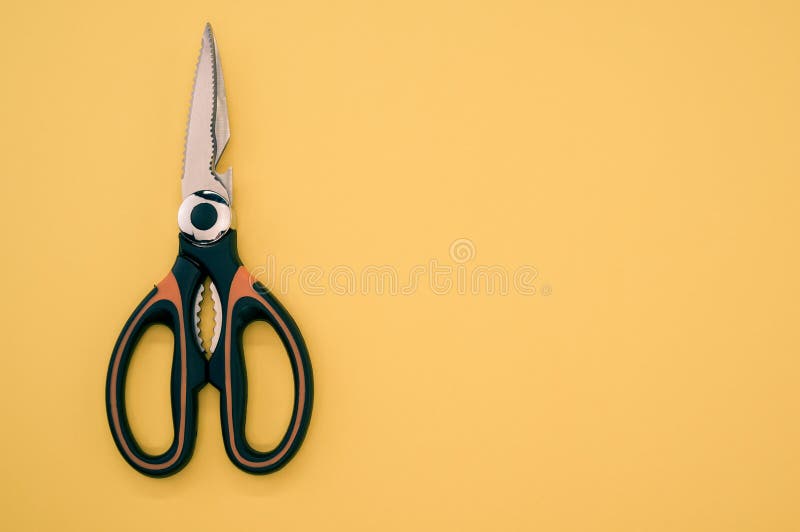 Cute Colorful Zigzag Scissors With Changeable Blade On White Fur Background  Stock Photo - Download Image Now - iStock