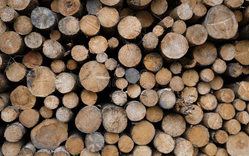 Closeup shot of a stack of logs royalty free stock photos