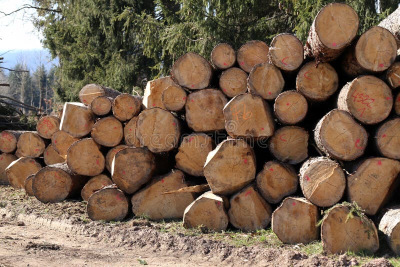 Closeup shot of a stack of logs for firewood stock images