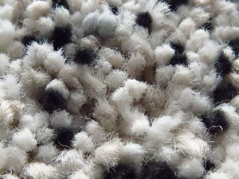 44,778 Black Spots Photos Free & RoyaltyFree Stock Photos from