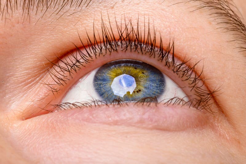 Closeup shot of woman eye - looking up. Human blue eye with reflection stock image Closeup shot of woman eye - looking up. Human blue eye with reflection stock image