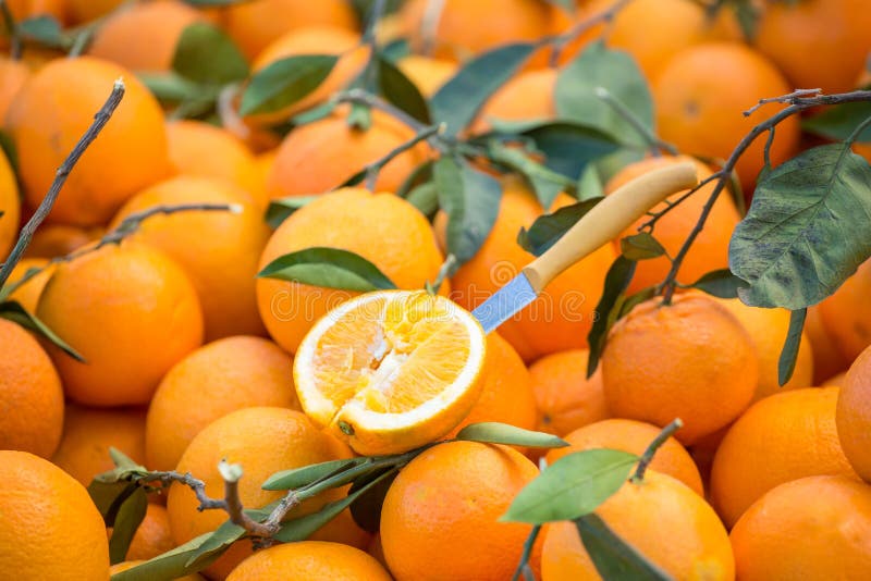 Closeup of sliced orange on a market