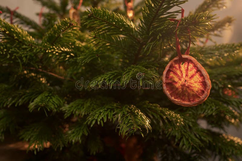 Closeup Small Christmas Tree with Natural Decorations Indoor Stock