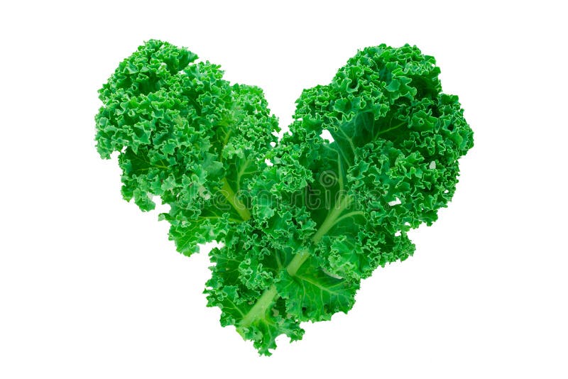Closeup of Some Leaves of Kale Forming a Heart on a White Background