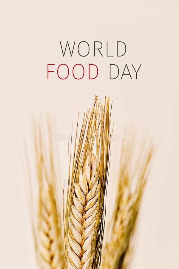 Text world food day and wheat spikes