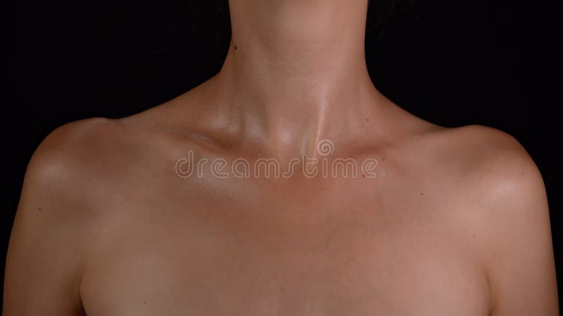 Female Chest And Neck Picture. Image: 5278647