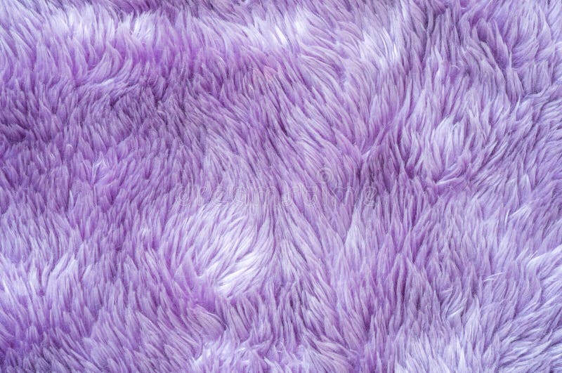 3,494 Texture Purple Carpet Photos Free & RoyaltyFree Stock Photos