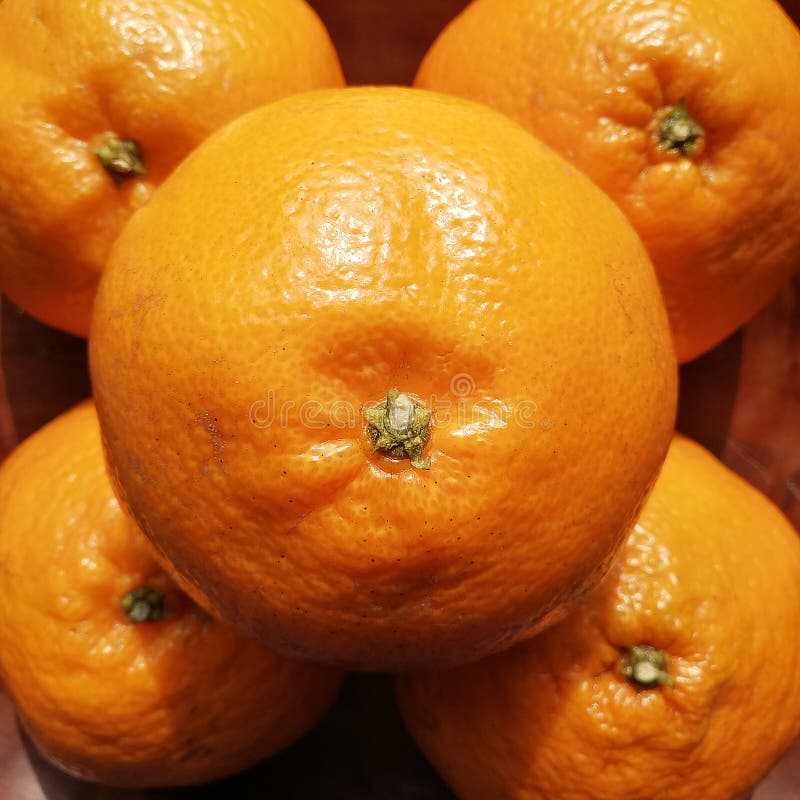 Closeup to Fruit Orange stock photo. Image of circle 107305802