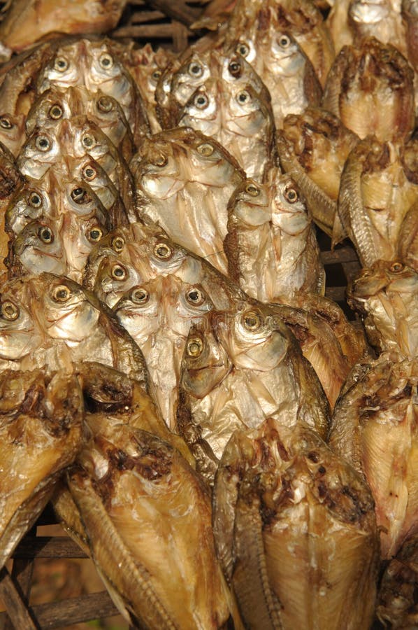 Closeup Traditional Solar Dried Fish Stock Photo Image of motion
