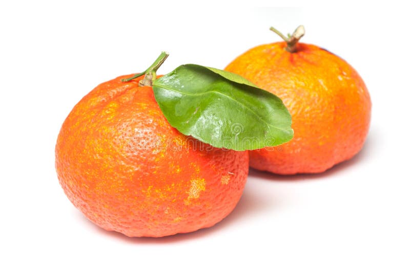 Two Hybrid Orange Fruits with Leaf on White Background Stock Photo