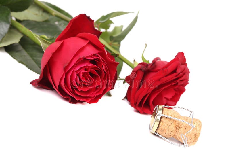 Wet red rose and a cork stock photo. Image of sparkling 33924236